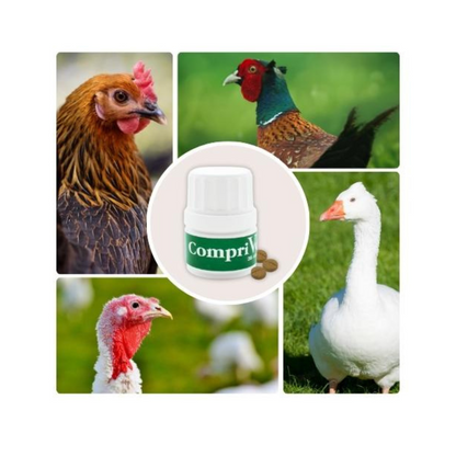 CompriVerm – Complemento nutricional en comprimidos para aves de corral (anátidas, gallinas, faisanes) – 8 comprimidos_1