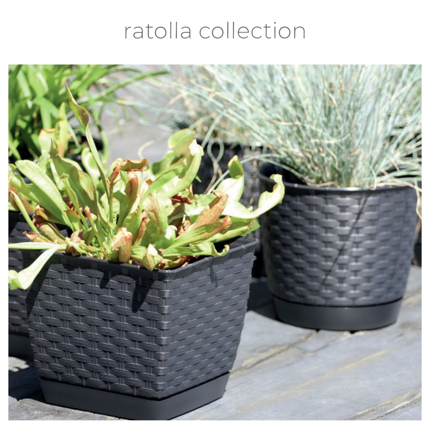 Maceta Ratolla Round 2l., Dimensiones (mm) 165x165x142, Color Antracita