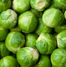 Sementes De Couve-de-bruxelas Groninger Orgânicas