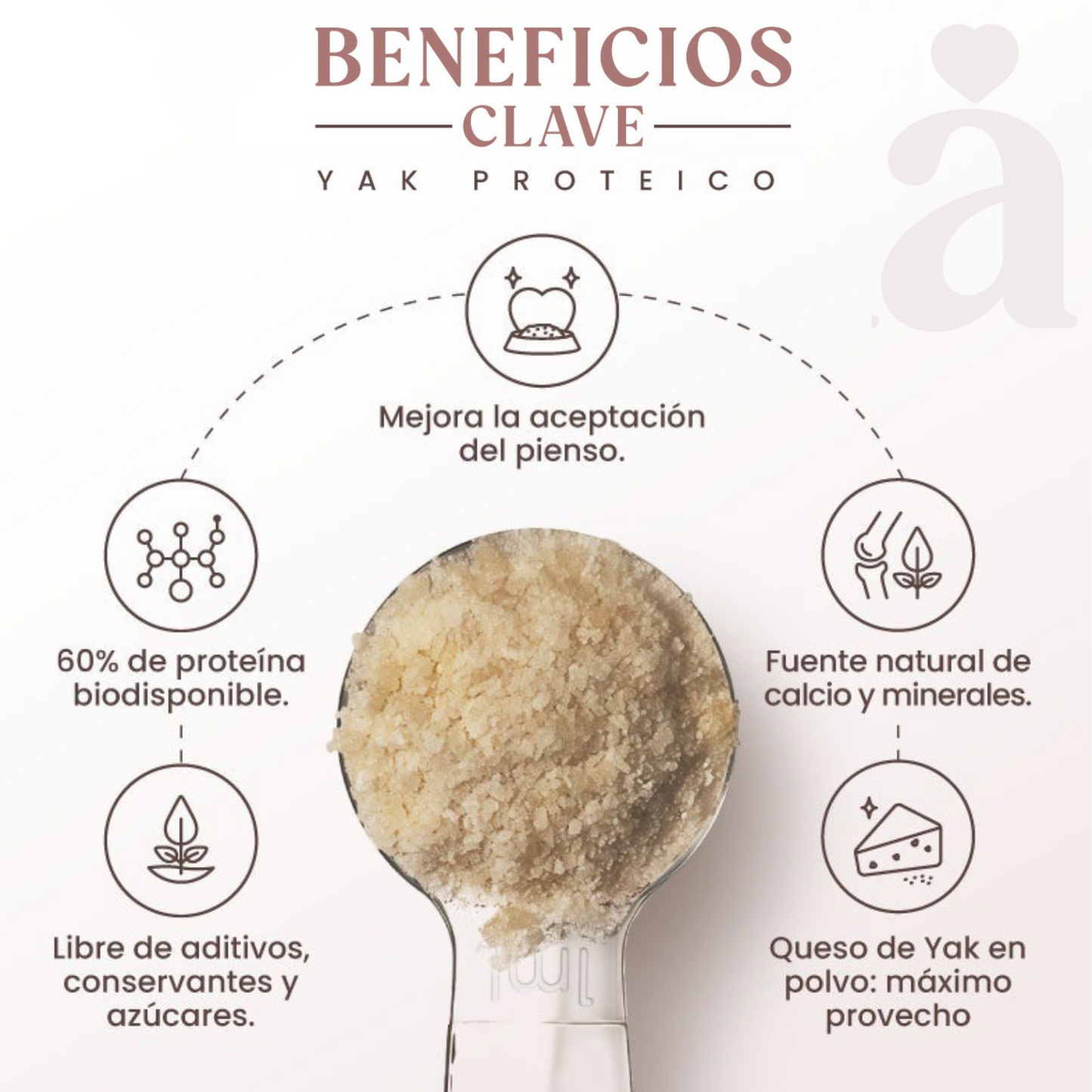 Yak Proteico - Churpi En Polvo - Refuerzo Natural Rico En Proteínas_2