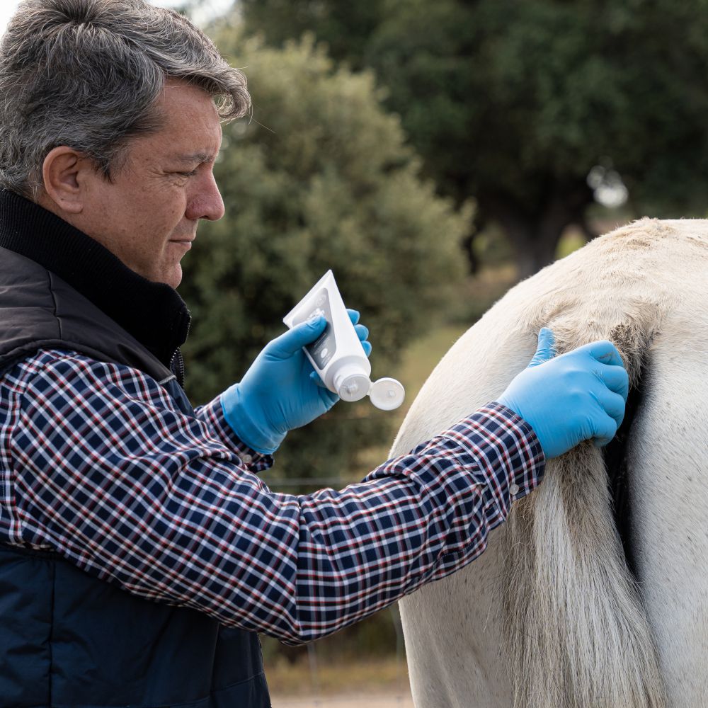 Pack 2 (crema Regenerante Antipicores 200 Ml+limpiador Micelar 100 Ml)._1