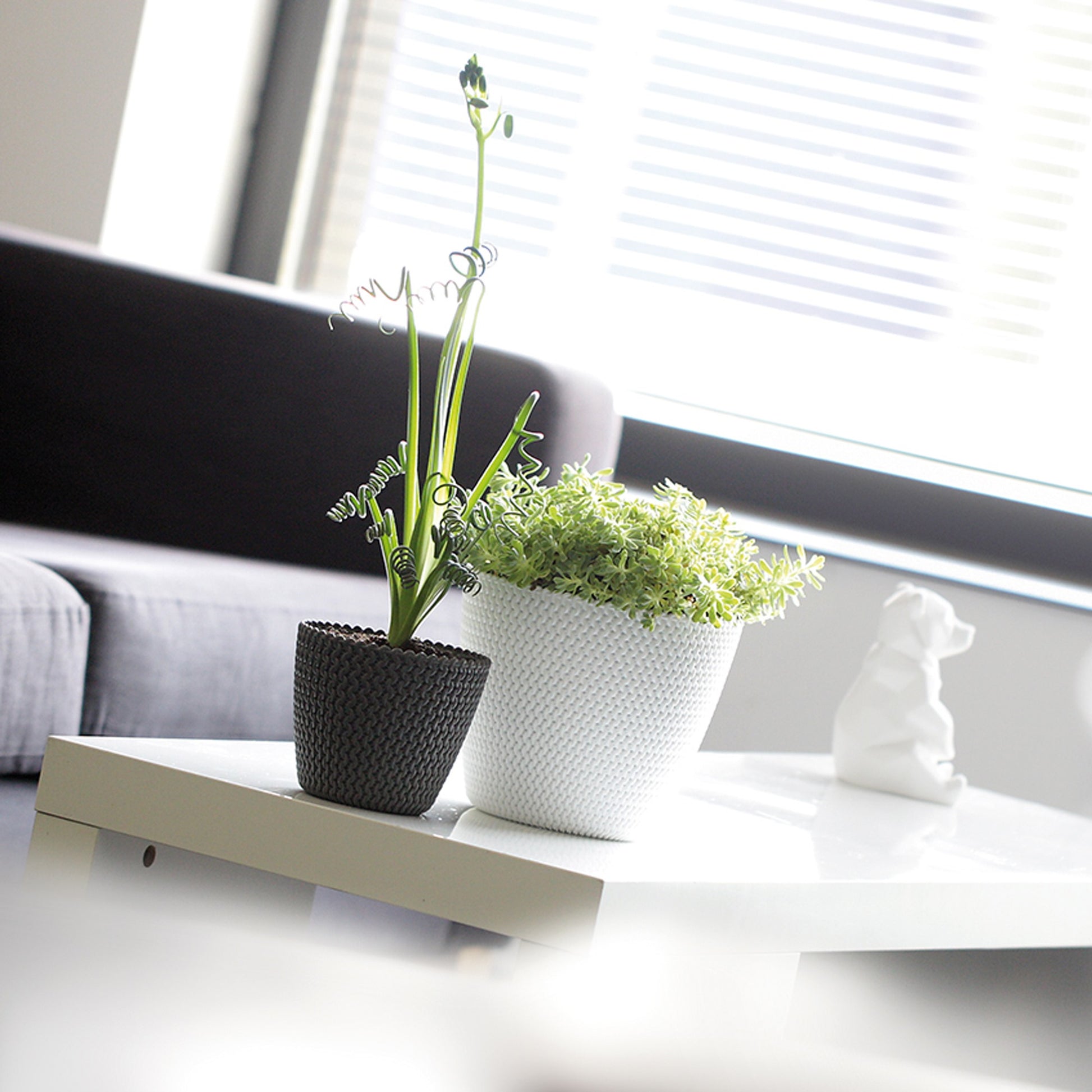 Maceta Redonda 28,2l Prosperplast Splofy De Plastico En Color Antracita, Ø39,1 X 33 Cm