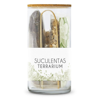 Kit Terrário para Suculentas