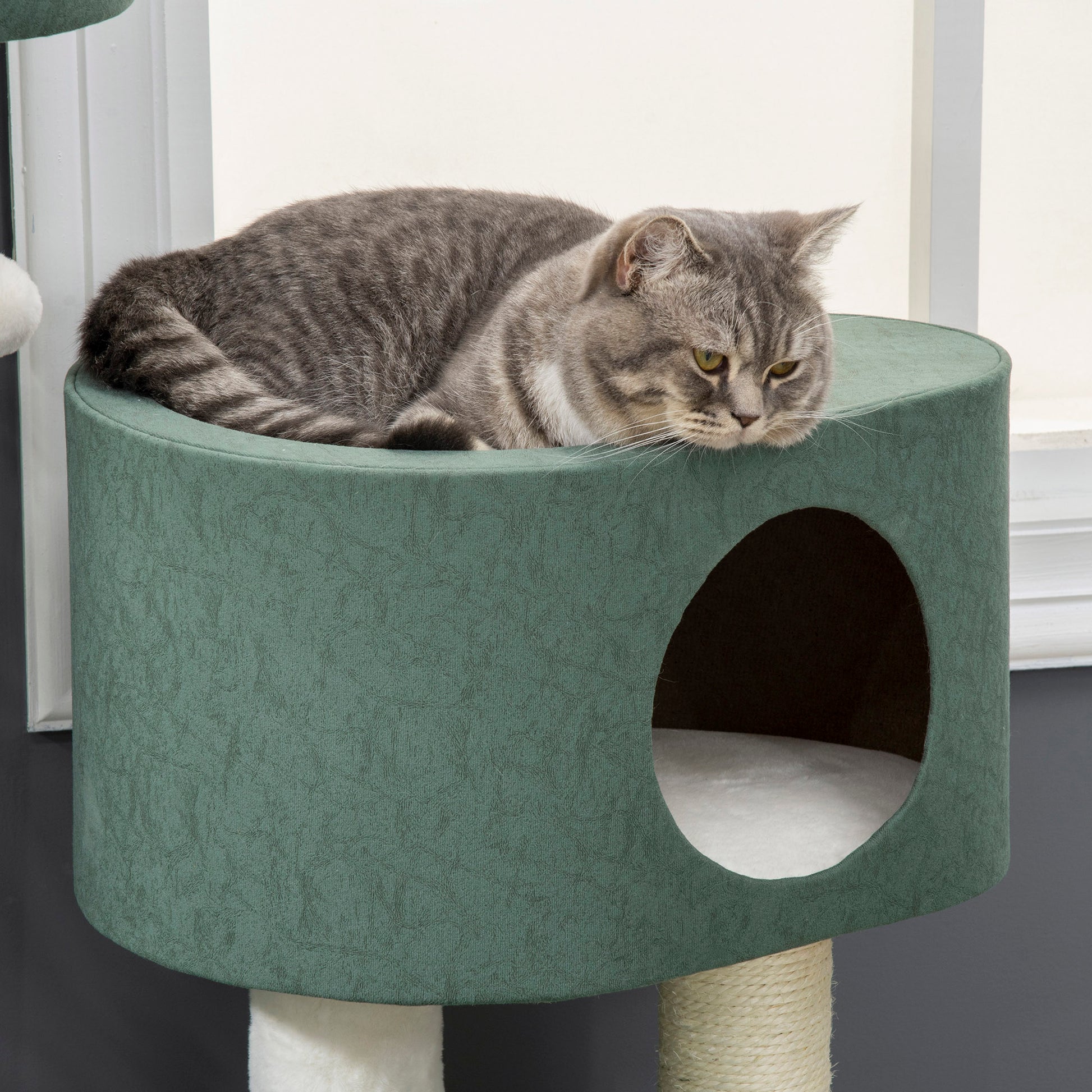Pawhut Árbol Rascador Para Gatos Altura 114cm Con 2 Camas Cueva Plataforma Bolas_3