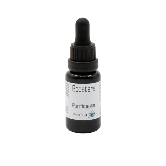 Booster Purificante Nieto Eco_0
