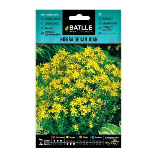 Sementes de Erva de São João Batlle