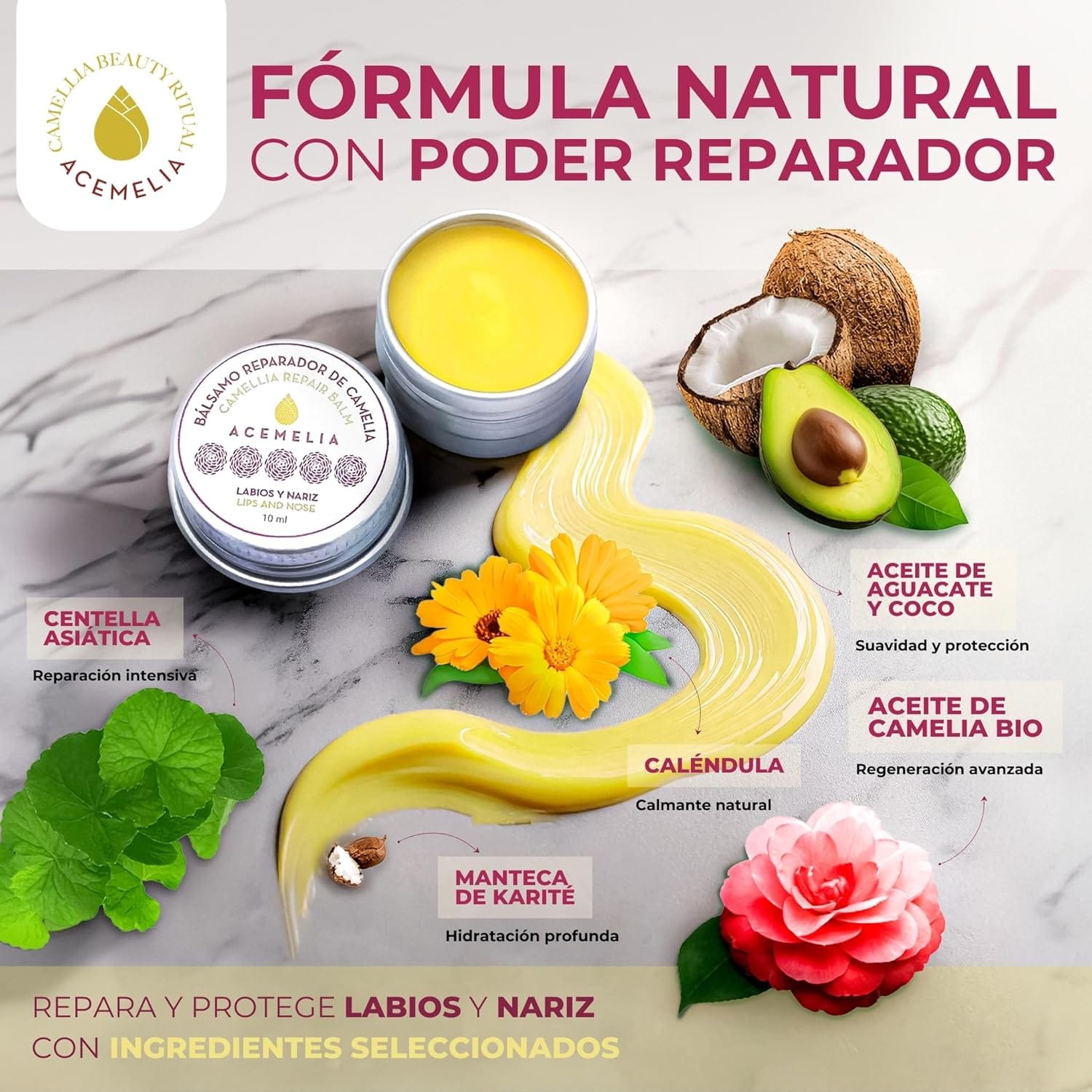 Labial Reparador para labios y nariz en lata con Aceite de Camelia_2
