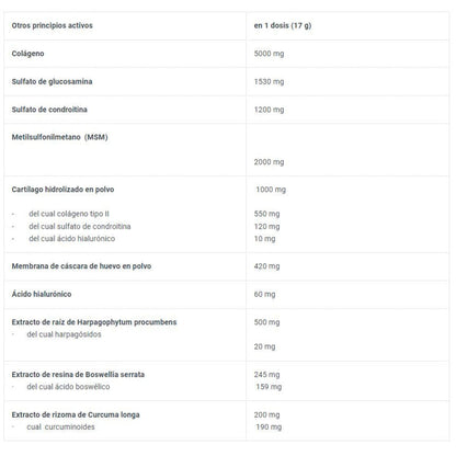 Arthro Forte 340 Gr Grosella Negra_1