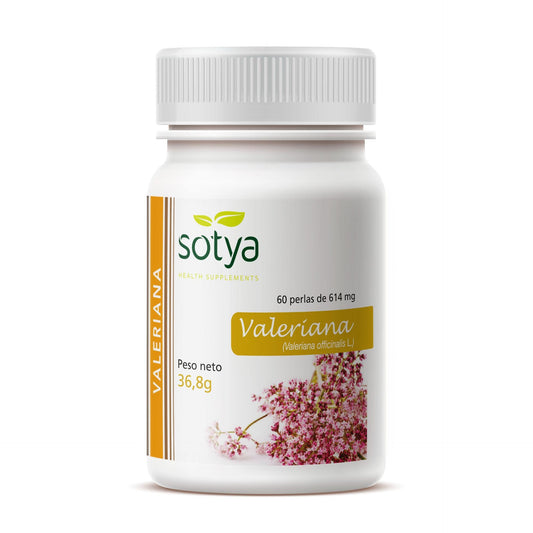 Valeriana Sotya, 60 pérolas