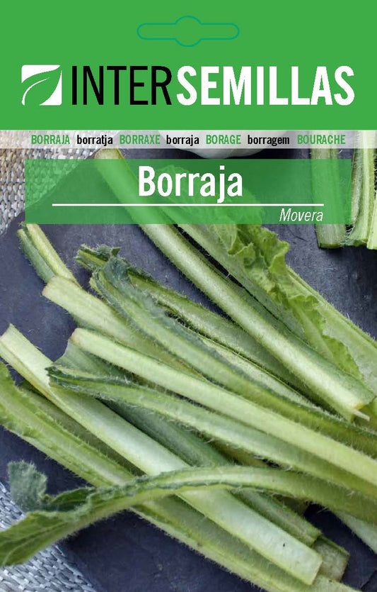 Sobre De Semillas De Borraja Movera_0