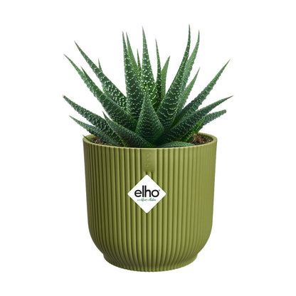 Maceta Verde Helecho Vibes Fold Round Mini Elho 11cm 100% reciclado
