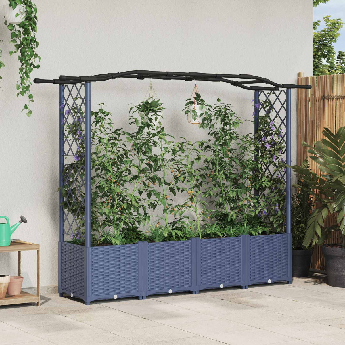 Cama Elevada Con Trellis Y Techo Gris 204 X 40 X 138 Cm Pp_1