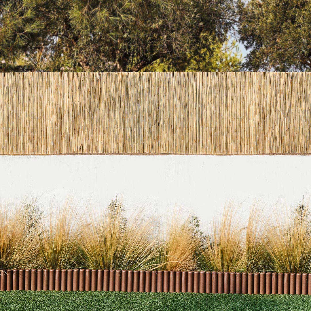 Cañizo Entero Varilla Media - Cañas Naturales Y Ecológicas - 1x5 M - Multicolor_3