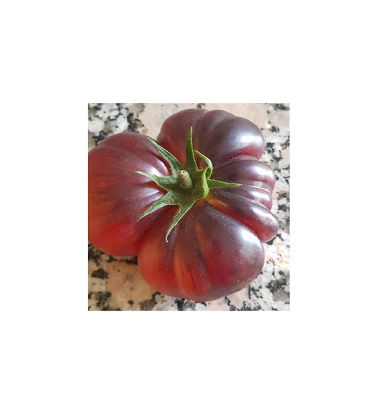 Plantón Tomate Cielo Azul (10 Unidades)_0