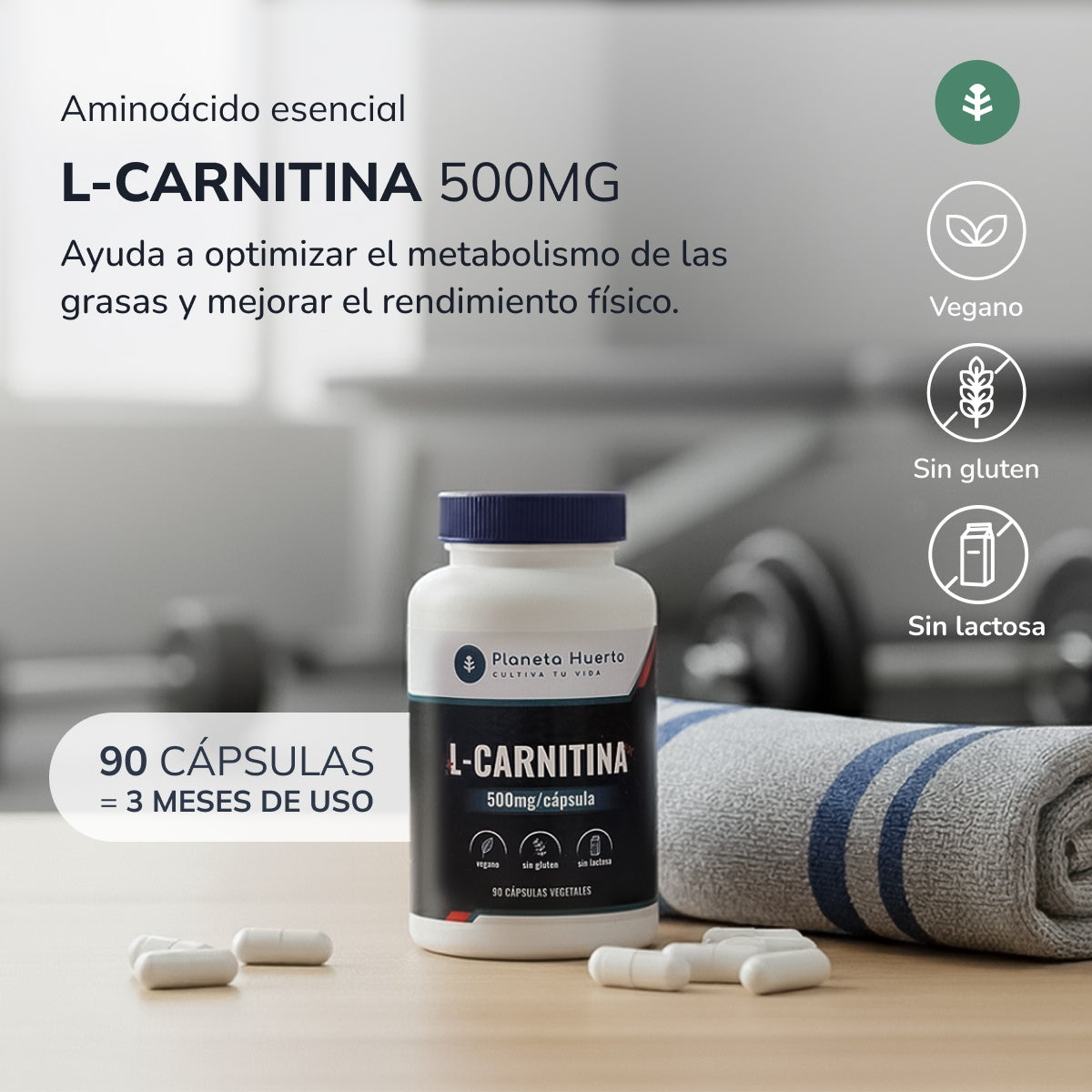 L-Carnitina 500 mg Planeta Huerto 90 Caps.
