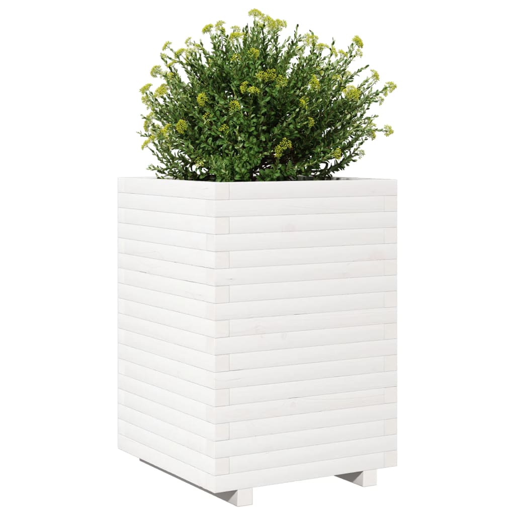 Jardinera Madera Maciza De Pino Blanco 50x50x72 Cm_3