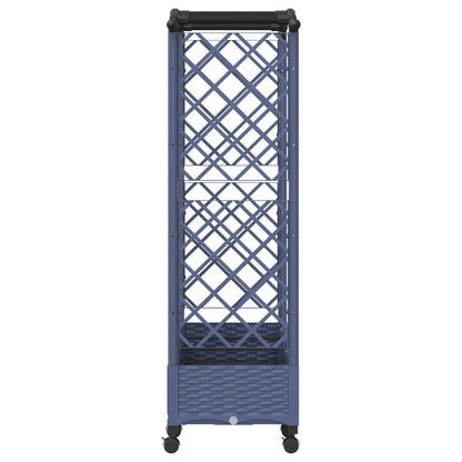 Cama Elevada Con Trellis Y Techo Gris 203,5 X 40 X 129 Cm Pp_3