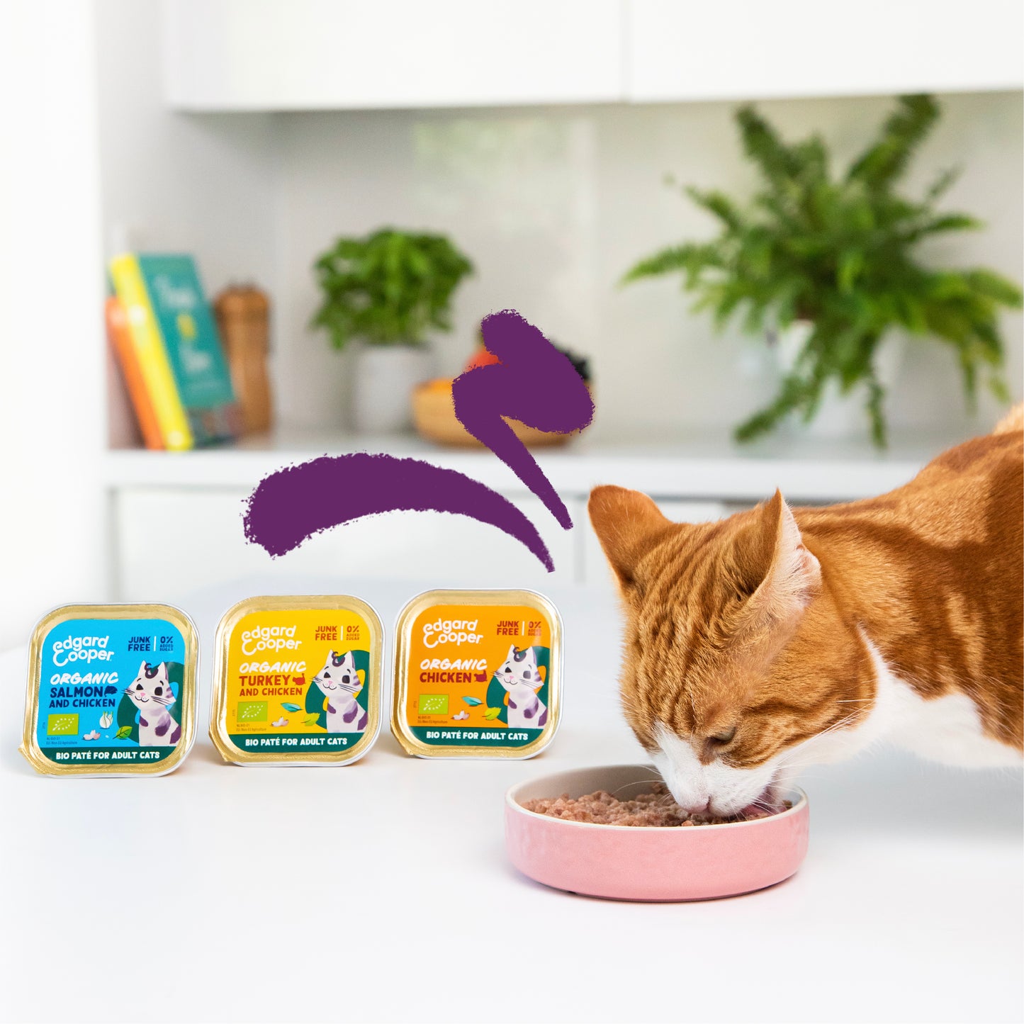 Paté ecológico de pollo para gato adulto Edgard & Cooper 85 g