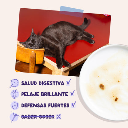 Sobres de comida húmeda Pato & Pavo en Salsa para Gatos Adultos | Edgard & Cooper 85 g