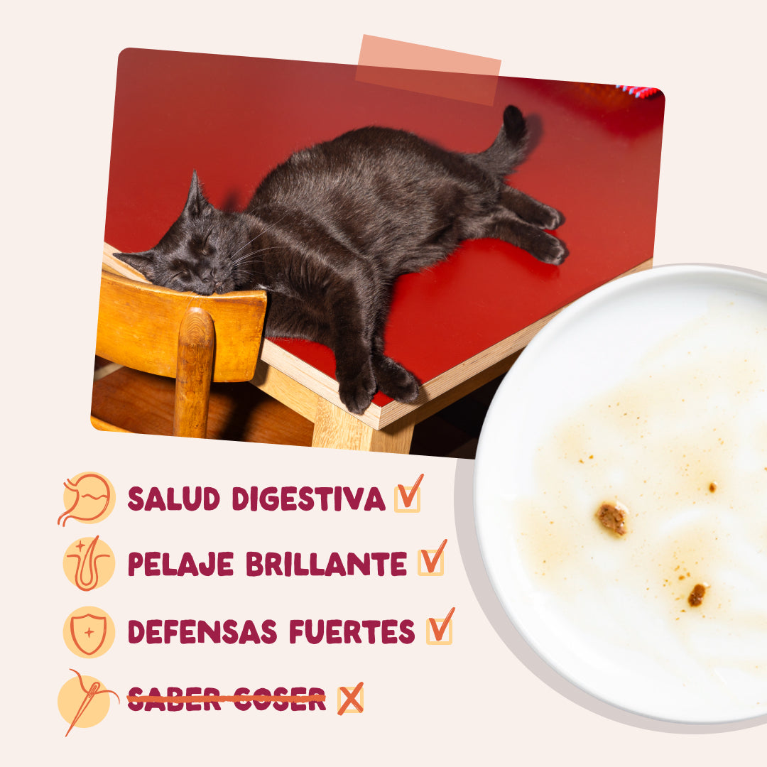 Sobres de comida húmeda para gatos Festines de la Granja Selección en Salsa | Edgard & Cooper 85 g
