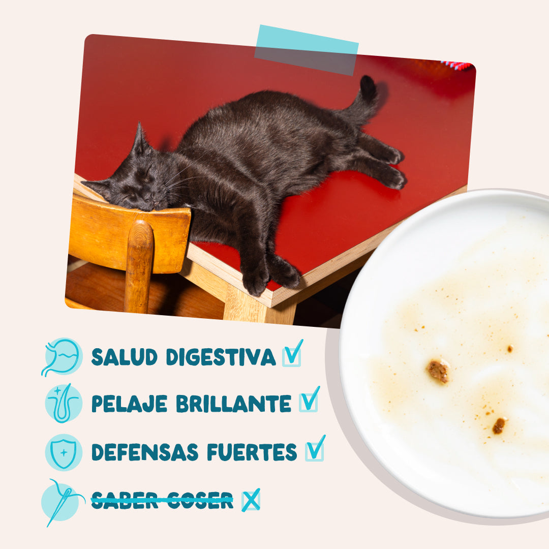Sobres de comida húmeda Atún & Pollo en Salsa para Gatos Adultos | Edgard & Cooper 85 g