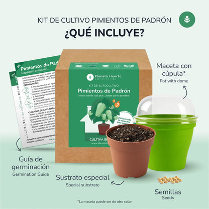 Kit de autocultivo Pimientos de Padrón Planeta Huerto