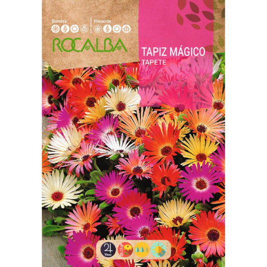 Sementes de Ficoide criniflorum da Tapeçaria Mágica