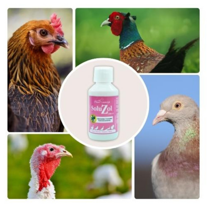 SoluZol 1L – Complemento nutricional natural para gallinas y aves – Apoyo digestivo y bienestar intestinal– 100% vegetal_1