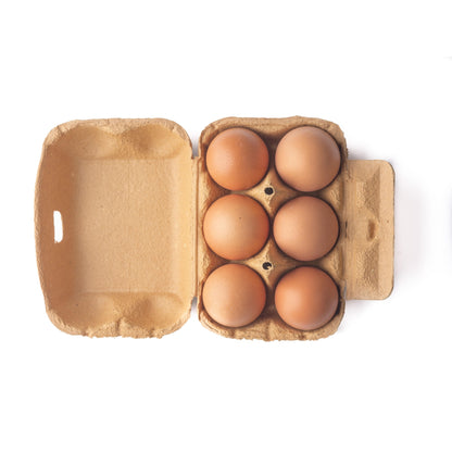 6x Ovos ECO Planeta Huerto