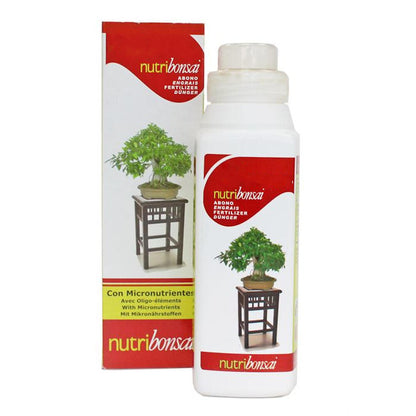Pack Iniciación Bonsai Zanthoxylum 8 Años Incluye Tijeras Y Abono_3