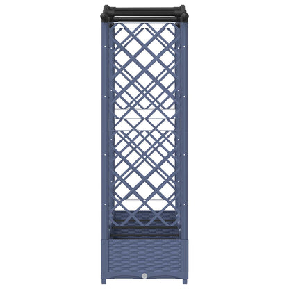 Cama Elevada Con Trellis Y Techo Gris 207 X 40 X 123 Cm Pp_4