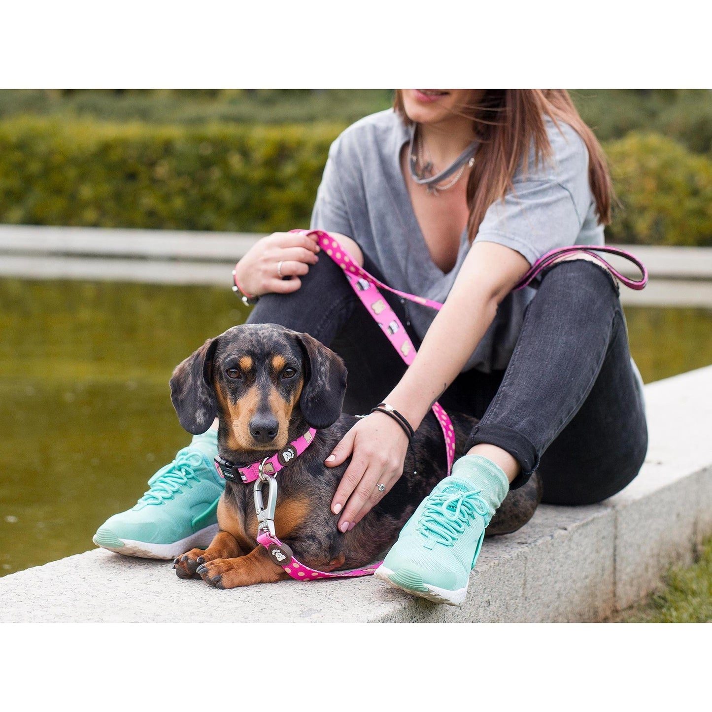 Arnés clásico para perro DOGTELLA Dukier L