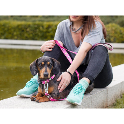 Arnés clásico para perro DOGTELLA Dukier L