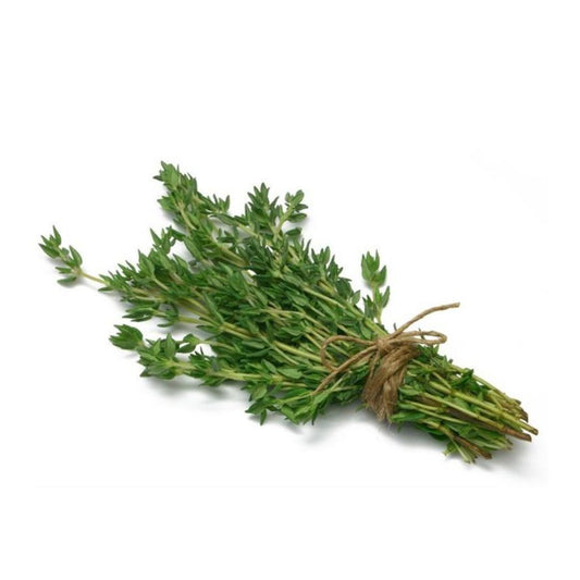 Mudas de Tomilho Comum 6 unidades. Linha Tradicional