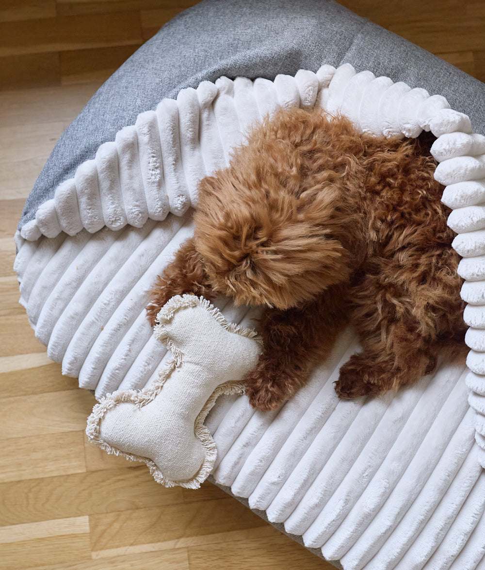 Cafide Cama Con Capucha Para Perro Con Tejido Chenilla Gris. Modelo Maso. Talla M (60x80x10 Cm)_1