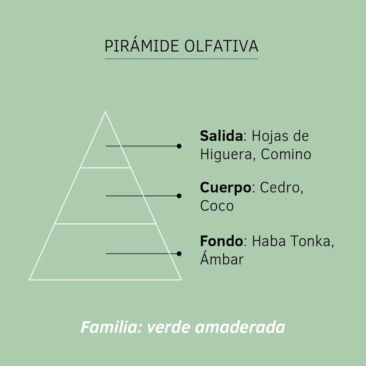 Esencia Hidrosoluble Hojas de Higuera SYS Aromas 50 ml | Aroma Verde Natural | Humidificador Difusor | Fragancia_1