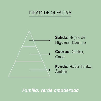 Esencia Hidrosoluble Hojas de Higuera SYS Aromas 50 ml | Aroma Verde Natural | Humidificador Difusor | Fragancia_1