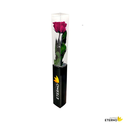 Mundo Eterno Rosa Preservada Fucsia 55cm_1