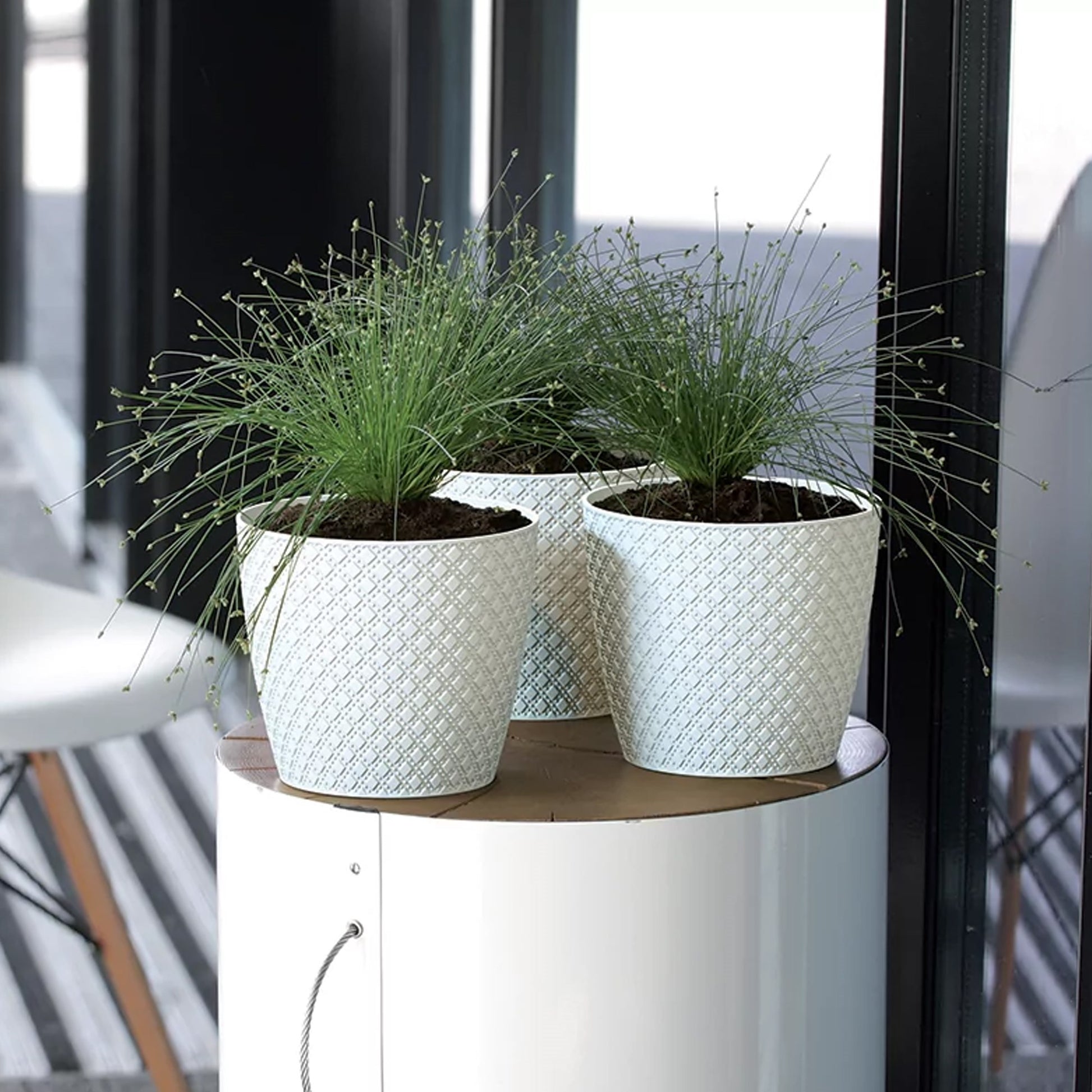 Maceta Orient 1l., Dimensiones (mm) 128x128x112, Color Blanco_3