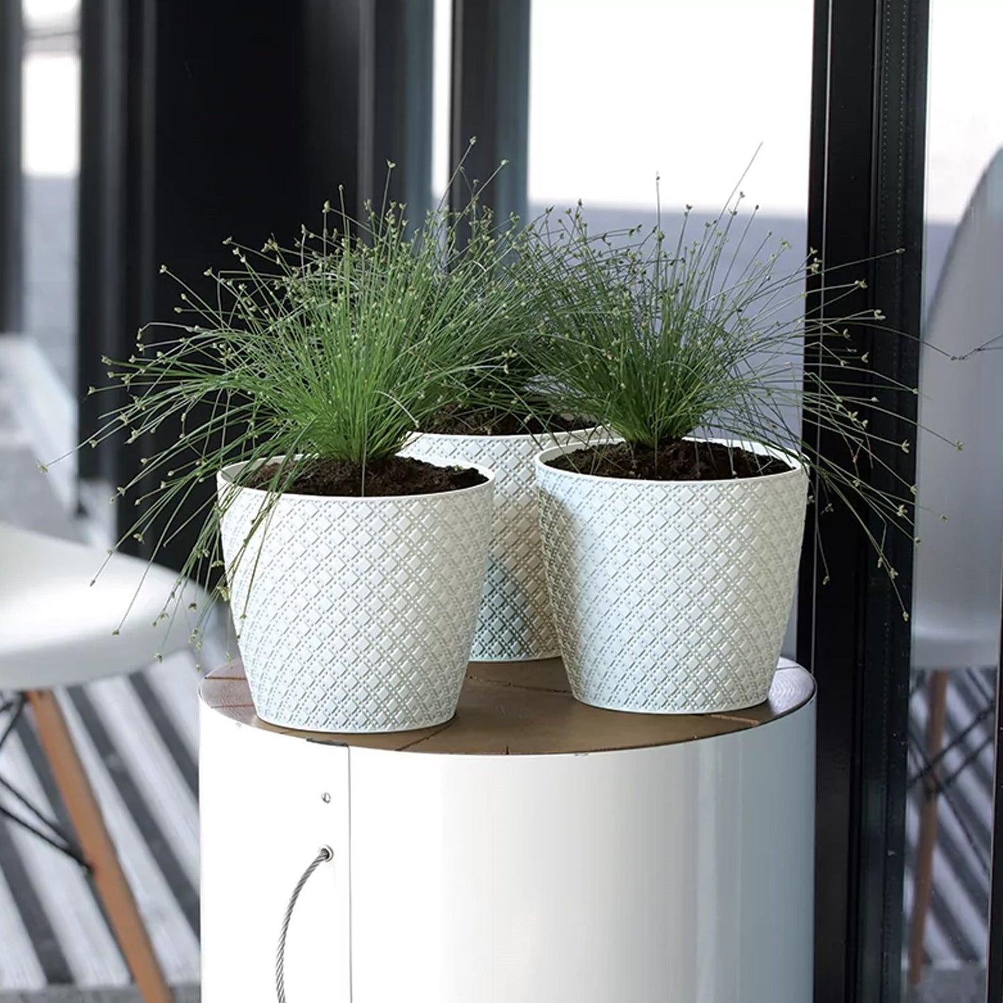 Maceta Orient 5,4l., Dimensiones (mm) 218x218x193, Color Crema