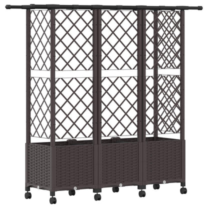 Cama Elevada Con Trellis Y Techo Marrón 163,5 X 40 X 142 Cm Pp_4