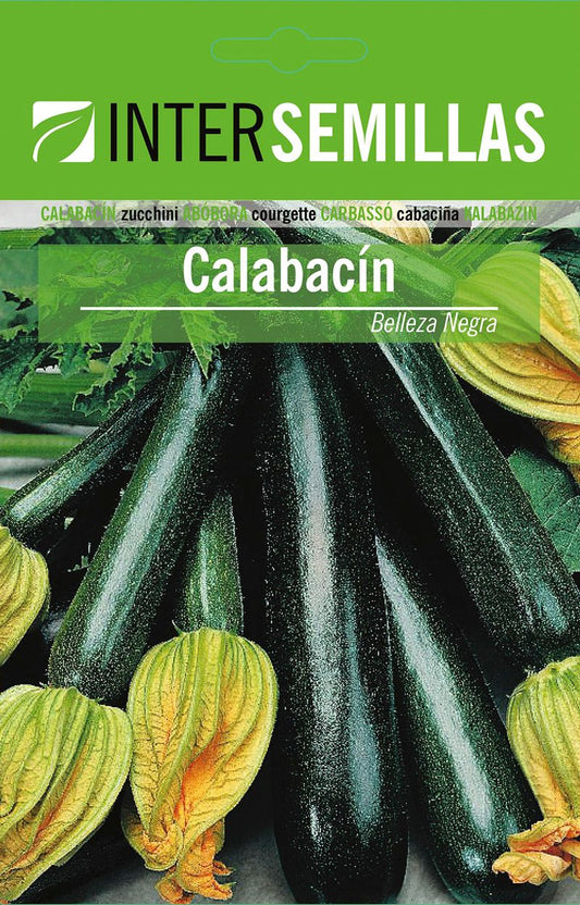 Sobre De Semillas De Calabacin Belleza Negra_0