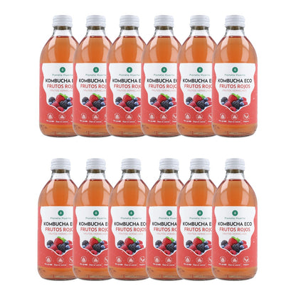 Pack 12x Kombucha ECO Frutos rojos Planeta Huerto 330 ml