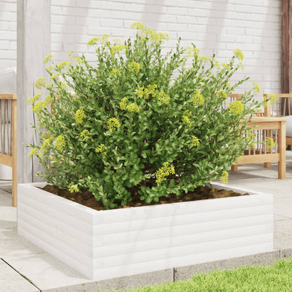 Jardinera De Madera Maciza De Pino Blanca 80x80x23 Cm_2