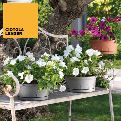 Maceta Tipo Cuenco Ø Cm 25 Con Platillo