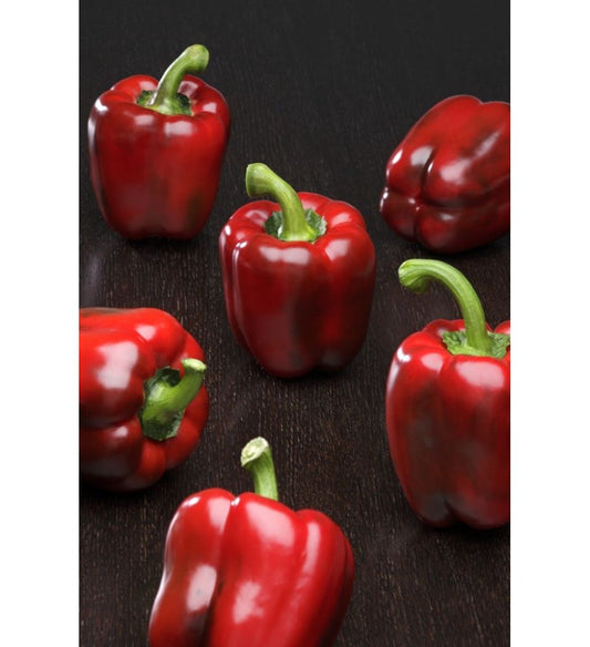 Plantón Pimiento California (10 Unidades)_0
