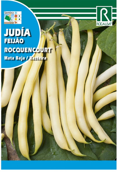 Semillas Judía Roquencourt 250g_0