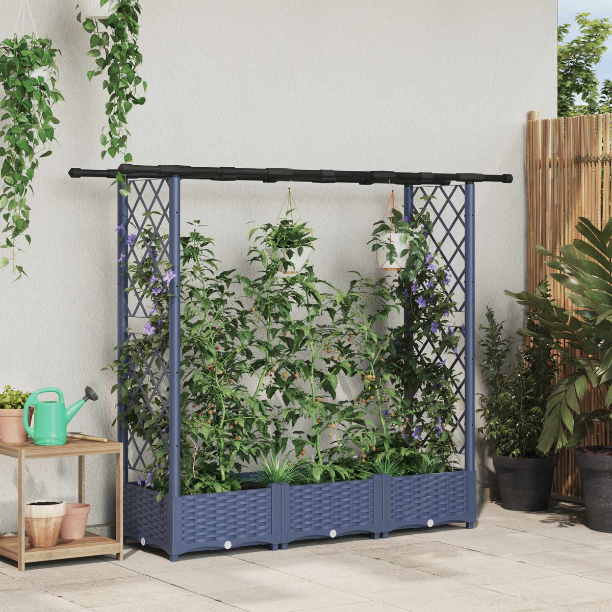 Cama Elevada Con Trellis Y Techo Gris 164 X 40 X 121 Cm Pp_1
