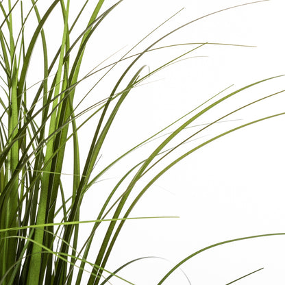 Manojo De Hierba En Maceta De Plástico H50