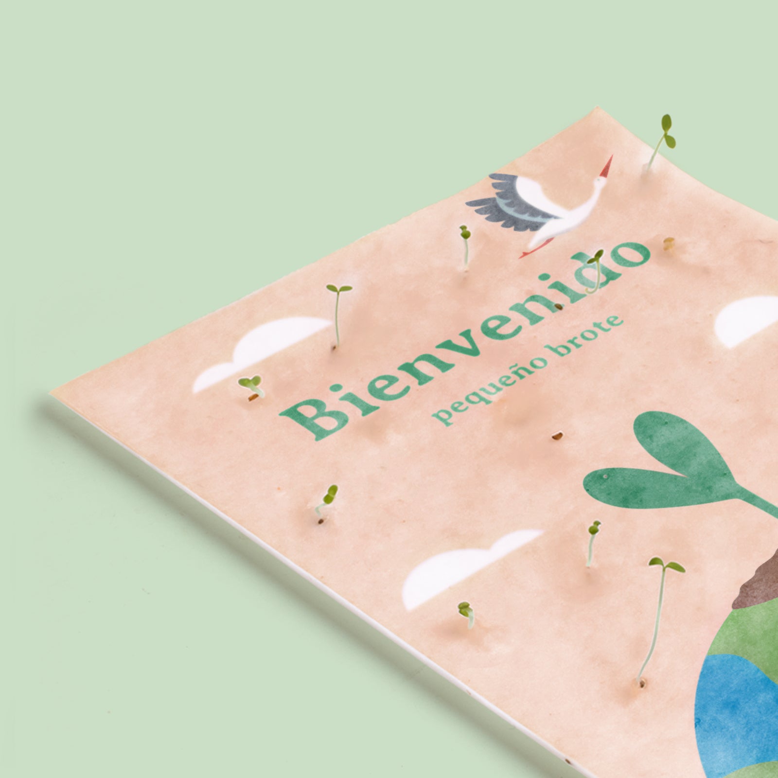 Postal Plantable Bienvenido con Semillas de Zanahoria – Regalo Original para Recién Nacidos - Resetea_2